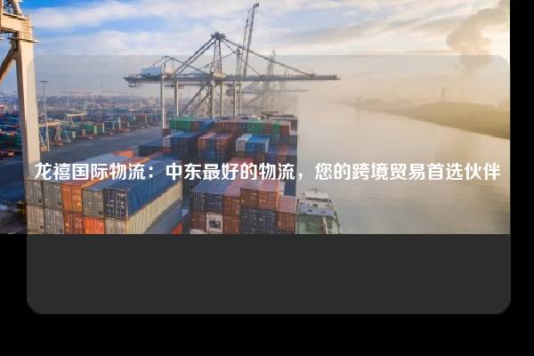 龙禧国际物流：中东最好的物流，您的跨境贸易首选伙伴