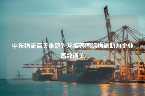 中东物流清关难题？龙禧客国际物流助力企业高效通关