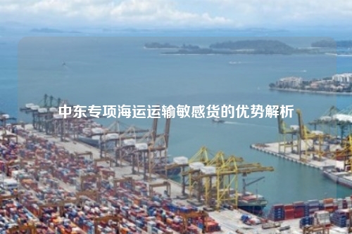 中东专项海运运输敏感货的优势解析