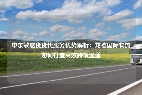 中东敏感货货代服务优势解析：龙禧国际物流如何打造高效跨境通道