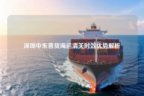 深圳中东普货海运清关时效优势解析