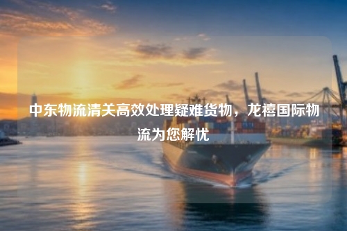 中东物流清关高效处理疑难货物，龙禧国际物流为您解忧
