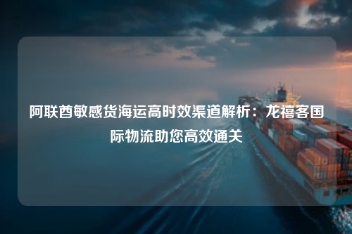 阿联酋敏感货海运高时效渠道解析：龙禧客国际物流助您高效通关