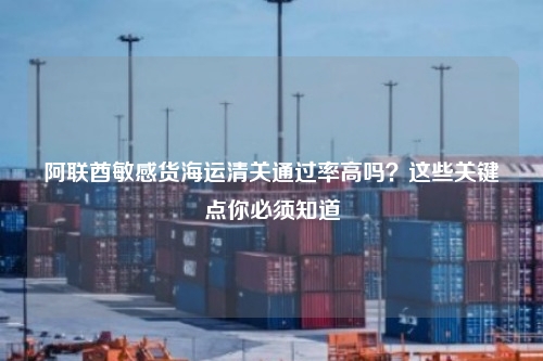 阿联酋敏感货海运清关通过率高吗？这些关键点你必须知道