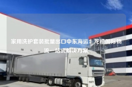 家用洗护套装批量出口中东海运：龙禧国际物流一站式解决方案