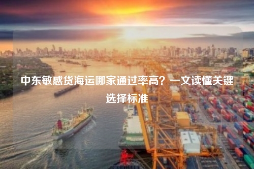 中东敏感货海运哪家通过率高？一文读懂关键选择标准