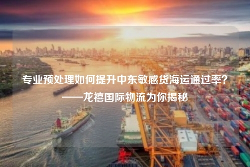 专业预处理如何提升中东敏感货海运通过率?——龙禧国际物流为你揭秘