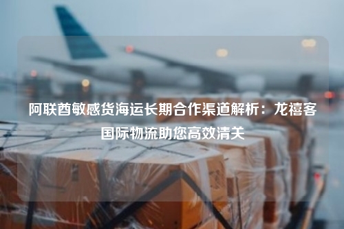 阿联酋敏感货海运长期合作渠道解析：龙禧客国际物流助您高效清关