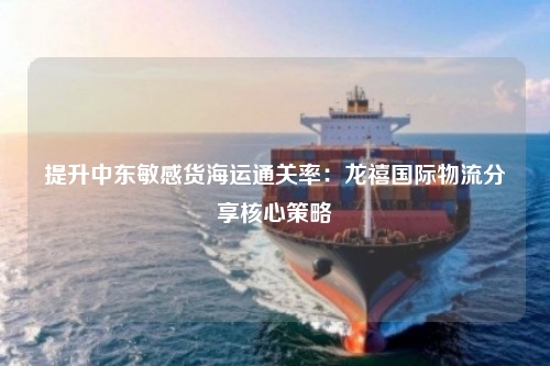 提升中东敏感货海运通关率:龙禧国际物流分享核心策略
