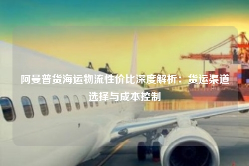 阿曼普货海运物流性价比深度解析:货运渠道选择与成本控制