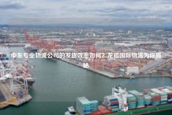 中东专业物流公司的发货效率如何？龙禧国际物流为你揭秘