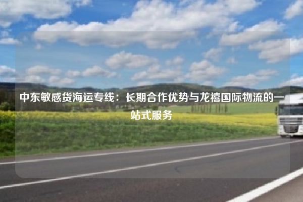 中东敏感货海运专线:长期合作优势与龙禧国际物流的一站式服务