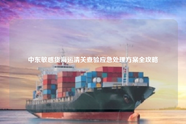 中东敏感货海运清关查验应急处理方案全攻略