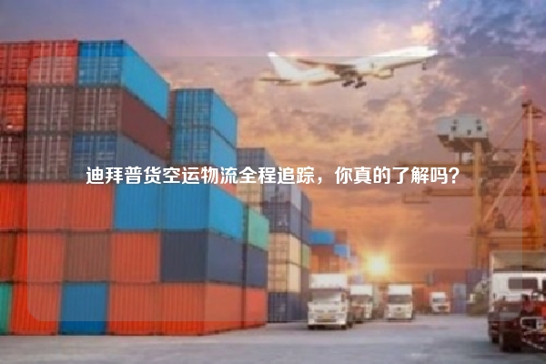 迪拜普货空运物流全程追踪,你真的了解吗?