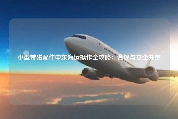 小型带磁配件中东海运操作全攻略：合规与安全并重