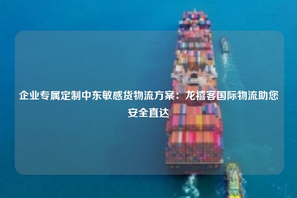 企业专属定制中东敏感货物流方案：龙禧客国际物流助您安全直达
