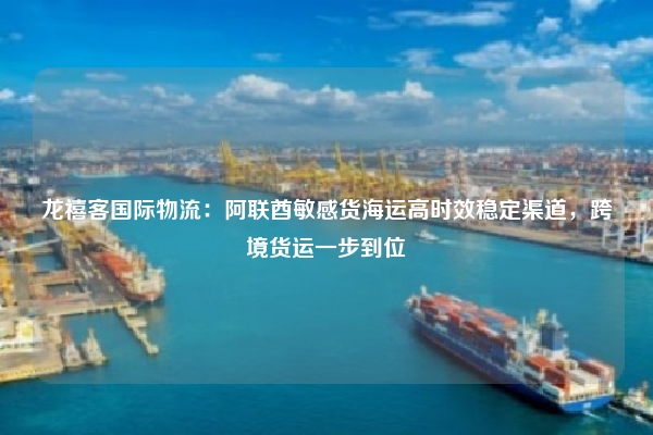 龙禧客国际物流:阿联酋敏感货海运高时效稳定渠道,跨境货运一步到位