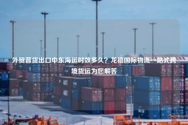 外贸普货出口中东海运时效多久？龙禧国际物流一站式跨境货运为您解答