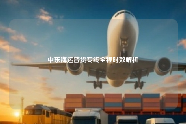 中东海运普货专线全程时效解析
