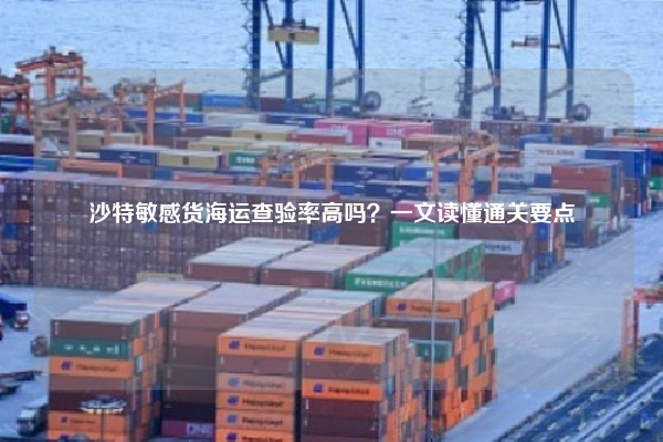 沙特敏感货海运查验率高吗?一文读懂通关要点