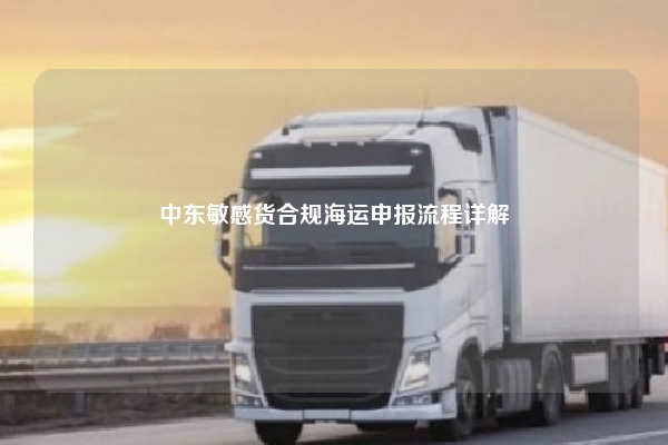 中东敏感货合规海运申报流程详解