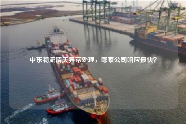 中东物流清关异常处理,哪家公司响应最快?
