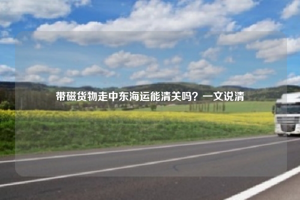 带磁货物走中东海运能清关吗?一文说清