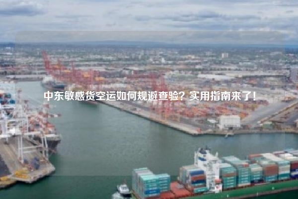 中东敏感货空运如何规避查验?实用指南来了!
