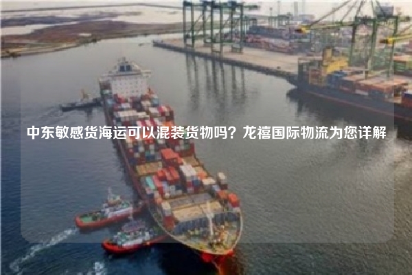 中东敏感货海运可以混装货物吗？龙禧国际物流为您详解