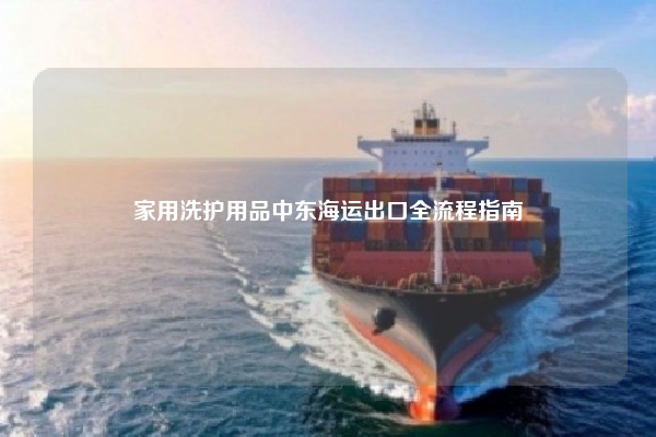 家用洗护用品中东海运出口全流程指南