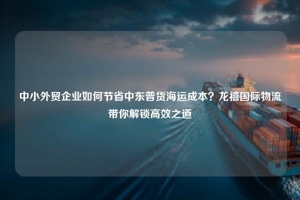 中小外贸企业如何节省中东普货海运成本？龙禧国际物流带你解锁高效之道