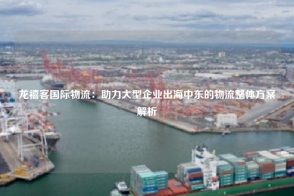 龙禧客国际物流：助力大型企业出海中东的物流整体方案解析