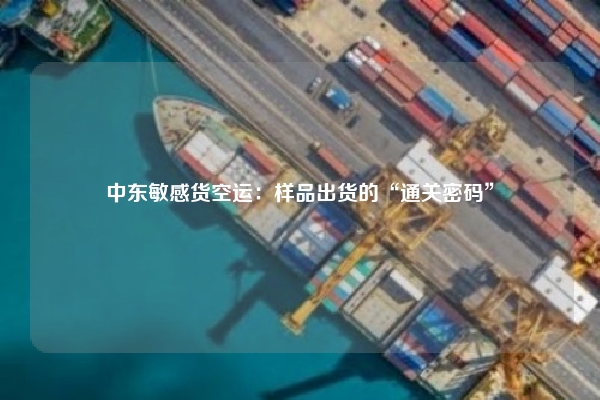 中东敏感货空运:样品出货的“通关密码”