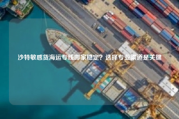 沙特敏感货海运专线哪家稳定?选择专业渠道是关键
