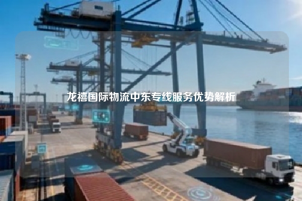 龙禧国际物流中东专线服务优势解析