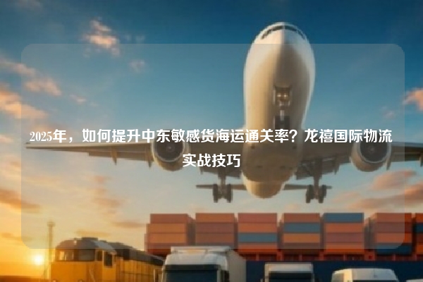 2025年,如何提升中东敏感货海运通关率?龙禧国际物流实战技巧