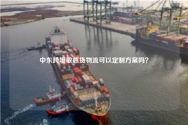 中东跨境敏感货物流可以定制方案吗?