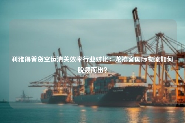 利雅得普货空运清关效率行业对比：龙禧客国际物流如何脱颖而出？