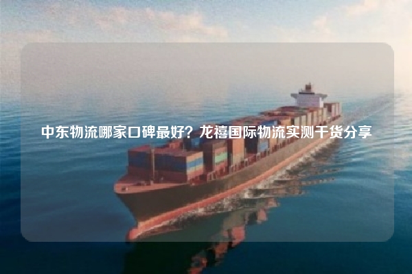 中东物流哪家口碑最好?龙禧国际物流实测干货分享