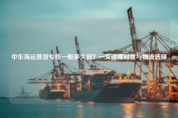 中东海运普货专线一般多久到?一文读懂时效与物流选择
