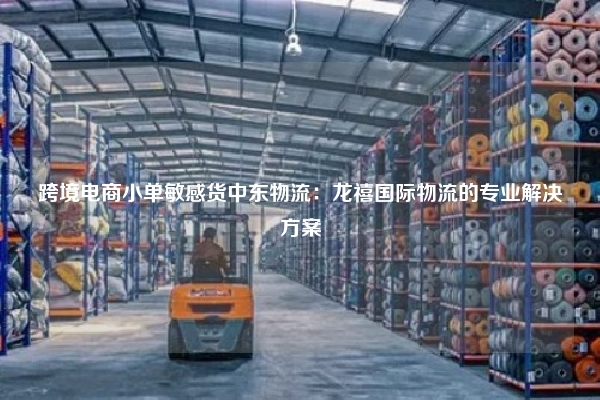 跨境电商小单敏感货中东物流：龙禧国际物流的专业解决方案
