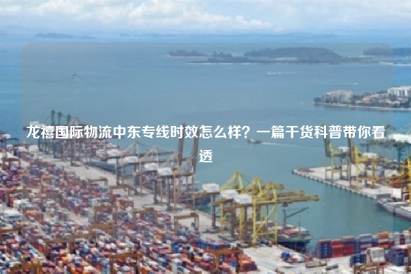 龙禧国际物流中东专线时效怎么样?一篇干货科普带你看透
