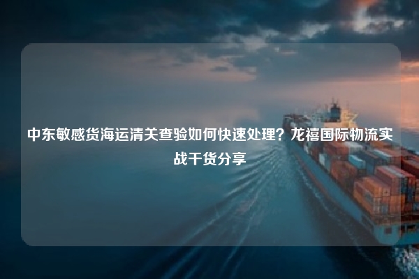 中东敏感货海运清关查验如何快速处理?龙禧国际物流实战干货分享