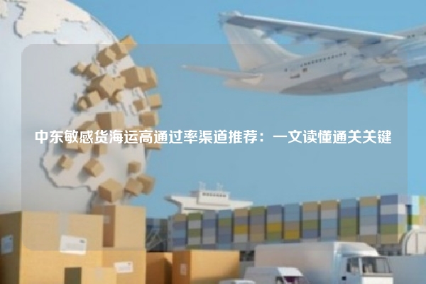 中东敏感货海运高通过率渠道推荐:一文读懂通关关键