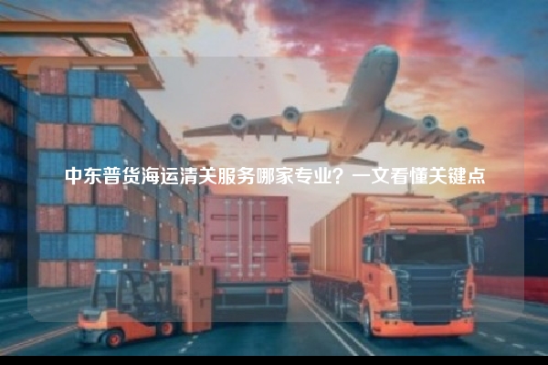 中东普货海运清关服务哪家专业?一文看懂关键点