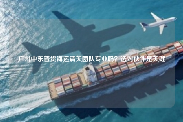 广州中东普货海运清关团队专业吗？选对伙伴是关键