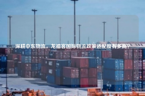 深耕中东物流,龙禧客国际物流政策适配度有多高?