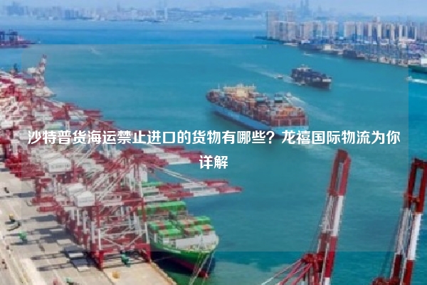沙特普货海运禁止进口的货物有哪些?龙禧国际物流为你详解