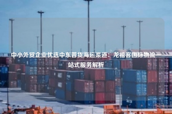 中小外贸企业优选中东普货海运渠道:龙禧客国际物流一站式服务解析