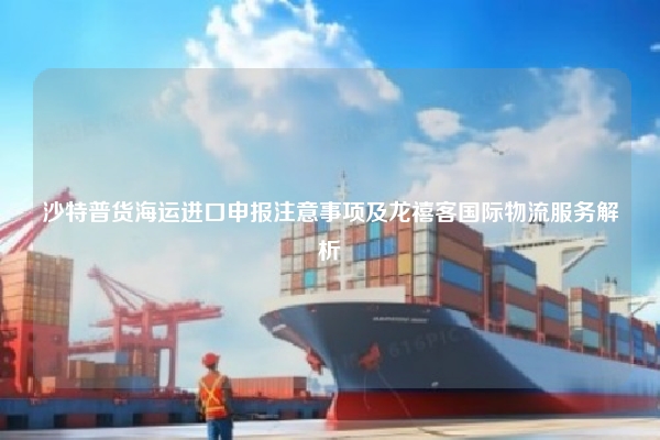 沙特普货海运进口申报注意事项及龙禧客国际物流服务解析
